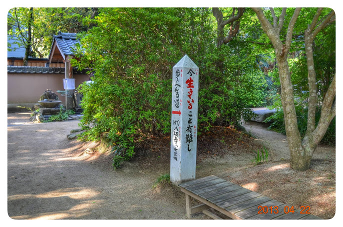 DSC_4273 (1)