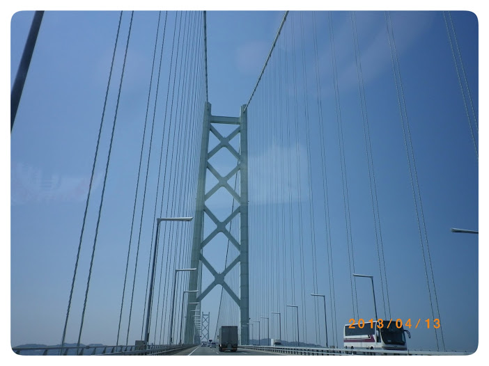 IMGP0898
