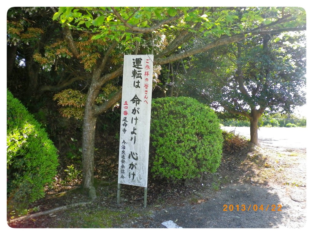 IMGP1398