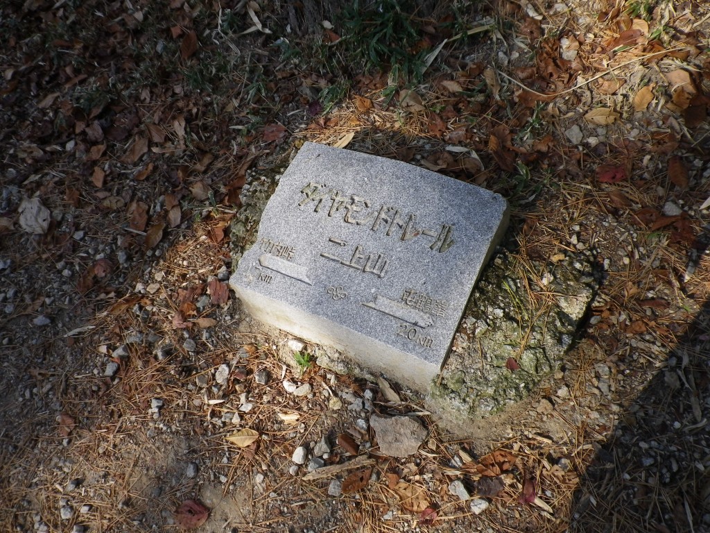 IMGP6804