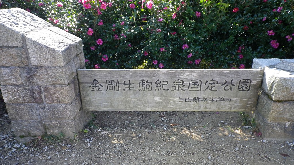 IMGP6820
