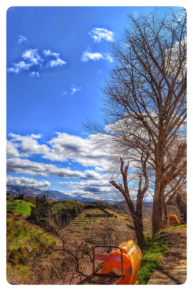 Picture perfect day !