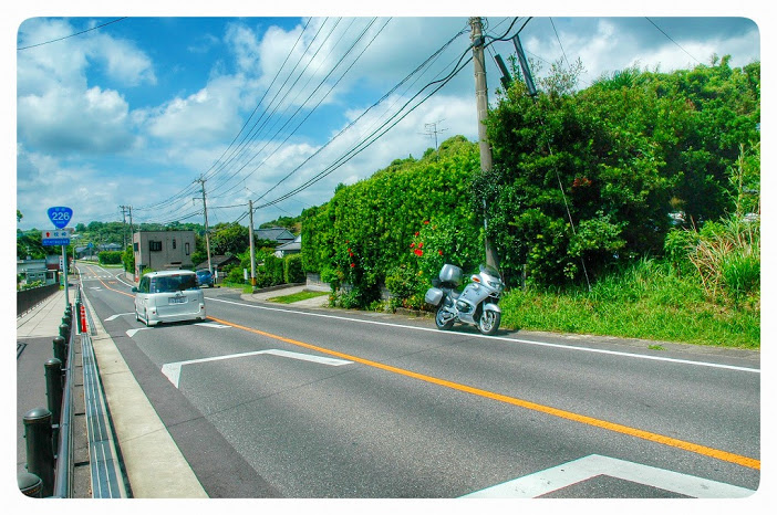DSC_3908 (1)