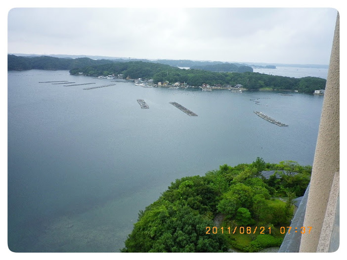 IMGP2429