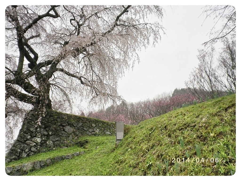 IMGP3119