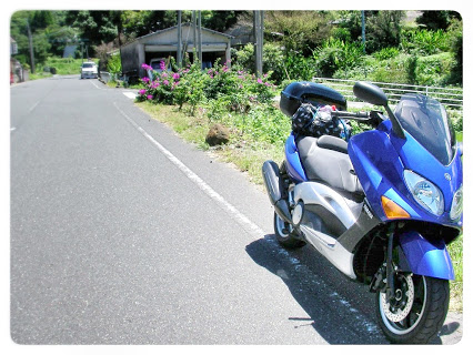 Series Japan mainland southernmost 日本本土最南端　北緯31度線シリーズ by YAMAHA TMAX500